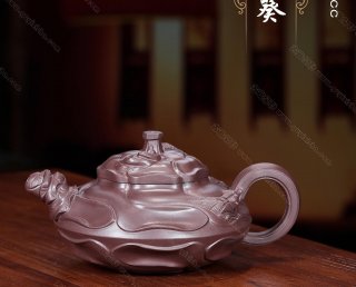 風(fēng)卷葵 風(fēng)卷葵